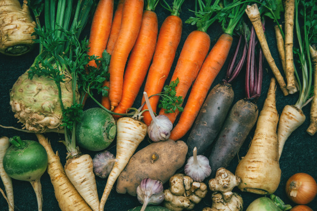 Verduras de raíz — zanahoria, remolacha, apio nabo y patata