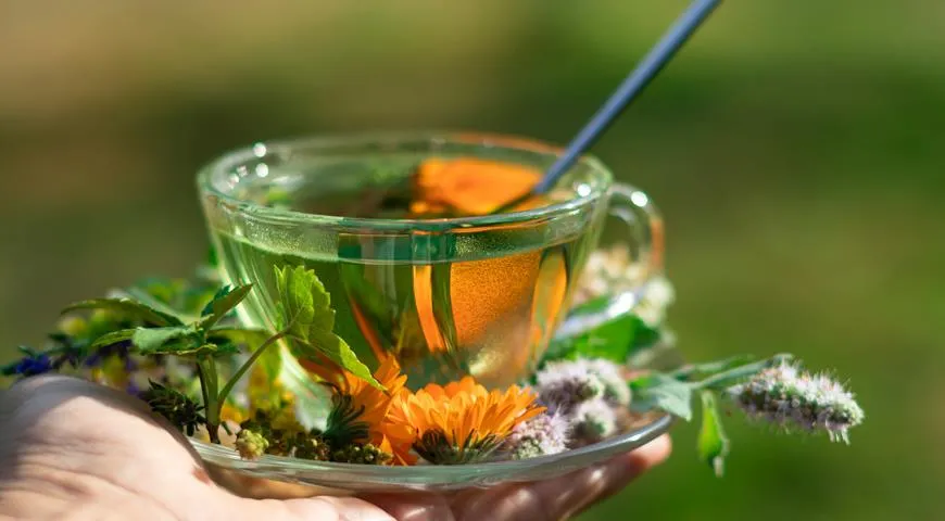 Tés de hierbas — infusión con caléndula, menta y flores frescas